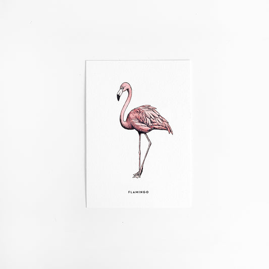 Kaart Flamingo